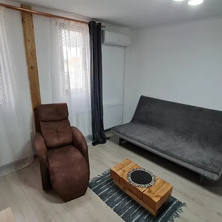 Pomiculturii 7 - Modern With Balcony Apartmán Temešvár